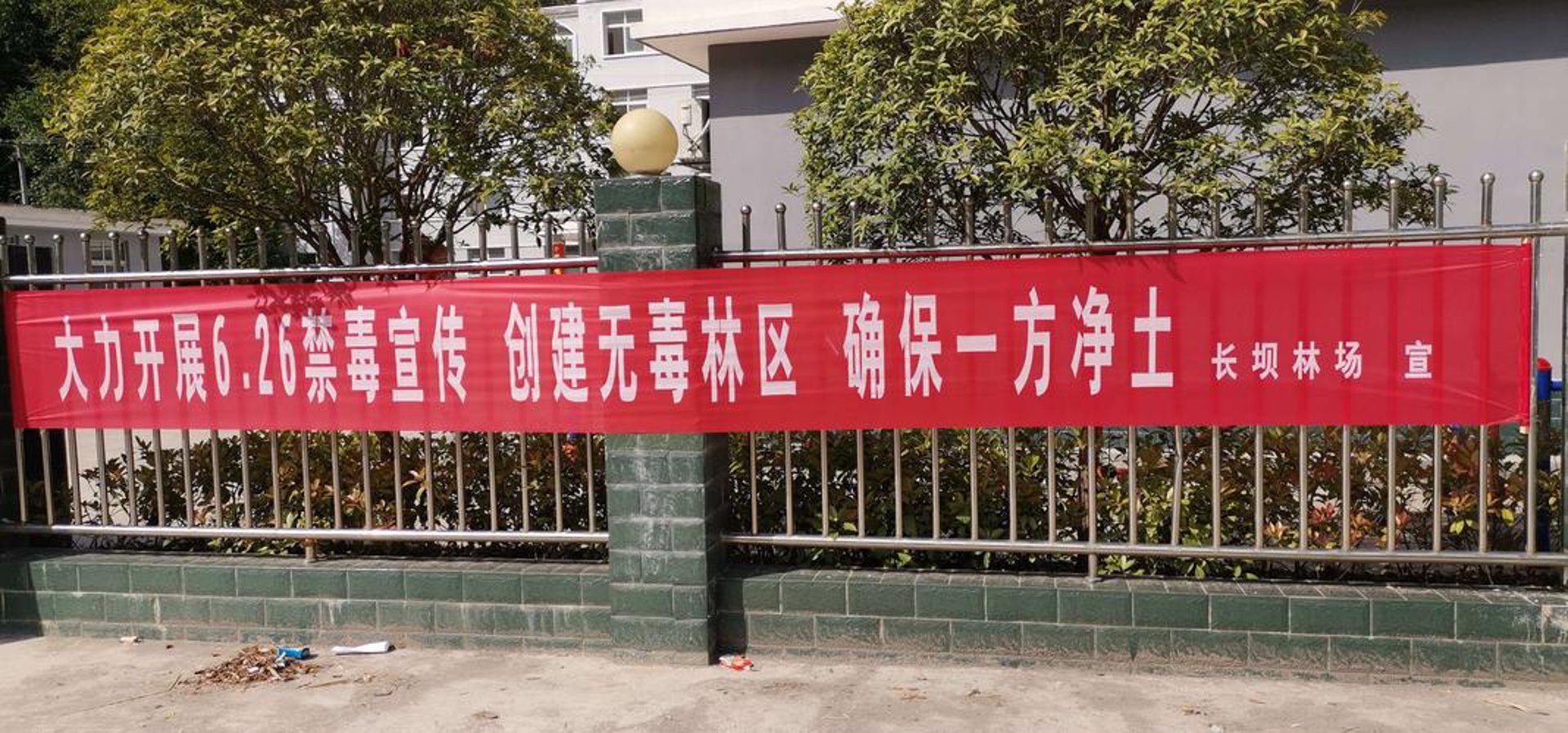 朴新在线教育