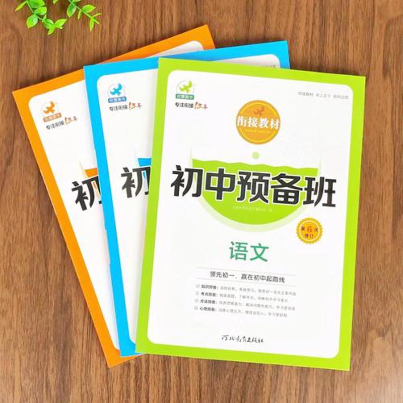 天津朴新网校：助力学子梦想启航的灯塔
