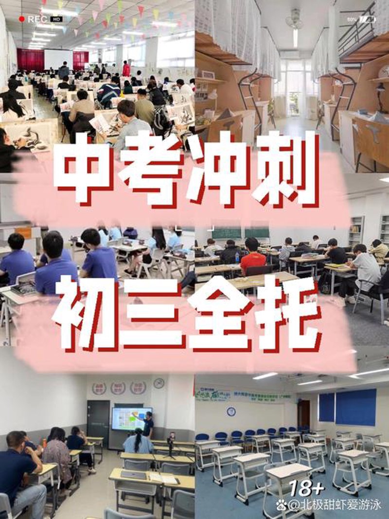 高中英语网课：重塑学习模式